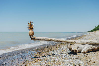 Scenic view of sea against clear sky