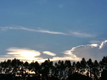 Low angle view of trees against sky