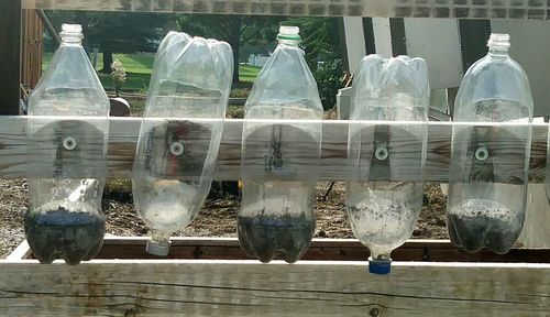 Close-up of food hanging from bottle