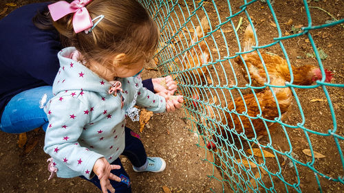 High angle view of girl with mother feeding chickens in poultry farm