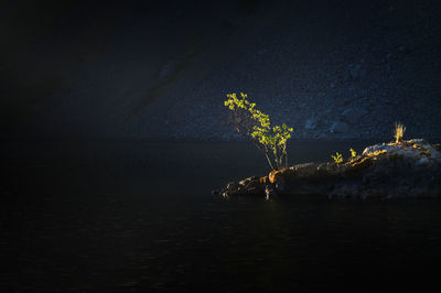 Scenic view of sea against sky at night