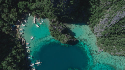 High angle view of sea and trees