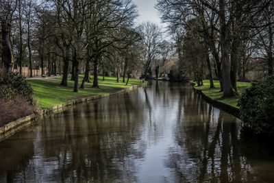 Reflection of trees in river