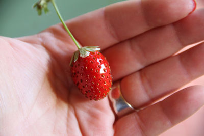 Close-up of hand holding strawberries