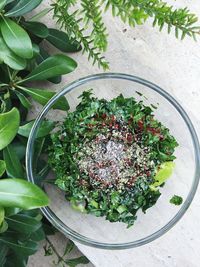 High angle view of plant in bowl