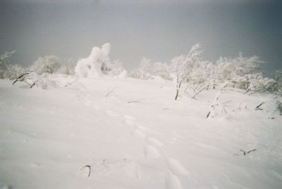 snow