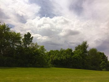 Trees on grassy field against cloudy sky