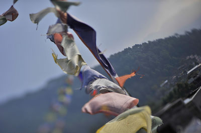 Low angle view of prayer flags hanging against sky