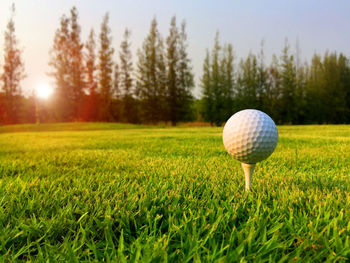 Close-up of ball on field against trees during sunset