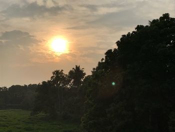 Trees against sky during sunset