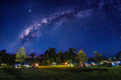 Scenic view of illuminated trees against sky at night