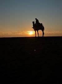 Silhouette man riding camel in desert against sky during sunset