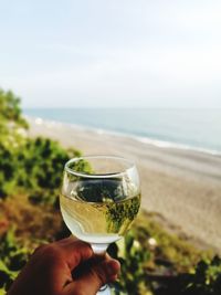 Cropped hand holding wineglass