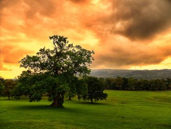 Scenic view of grassy field against cloudy sky