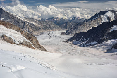 Summer on the jungfrau with a view over the aletsch glacier