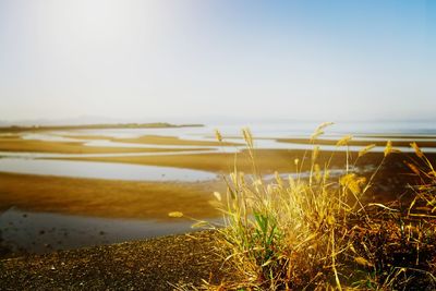 Scenic view of sea against clear sky