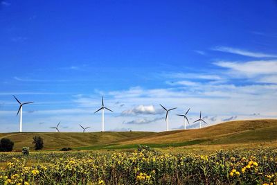 Wind turbines in field