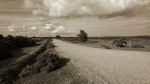 Dirt road passing through landscape against cloudy sky