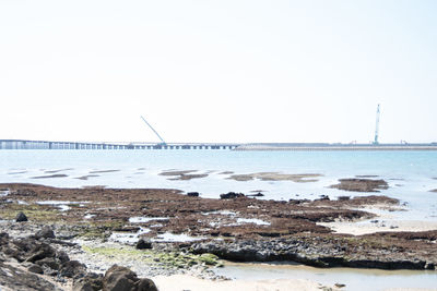 Scenic view of beach against clear sky