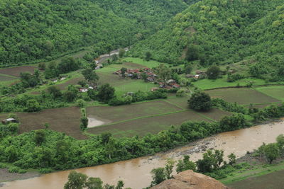 High angle view of agricultural field