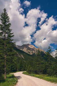 Forest path in the dolomites, val fiscalina