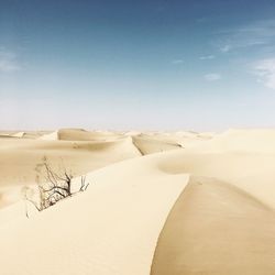 Scenic view of desert against sky