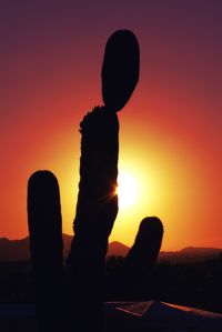 Silhouette cactus growing on field against sky during sunset