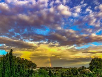 Scenic view of trees against sky during sunset