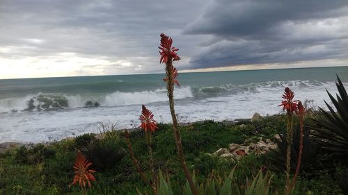 Scenic view of sea against sky