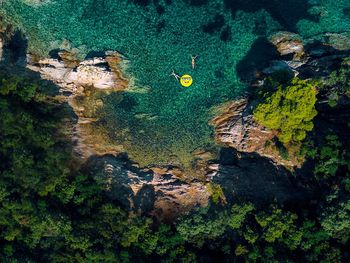 View of coral swimming in sea