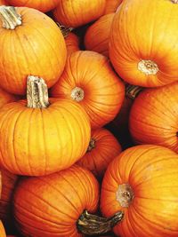 Full frame shot of pumpkins at market