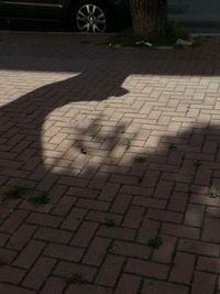 Shadow on ground