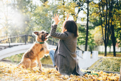 Side view of woman with dogs on field