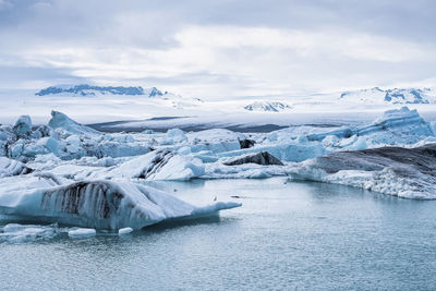 Beautiful icebergs floating in jokulsarlon glacier lagoon in polar climate