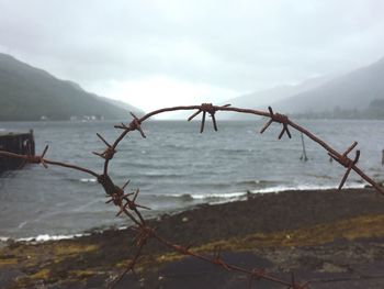 Close-up of barbed wire against sea and mountains against sky