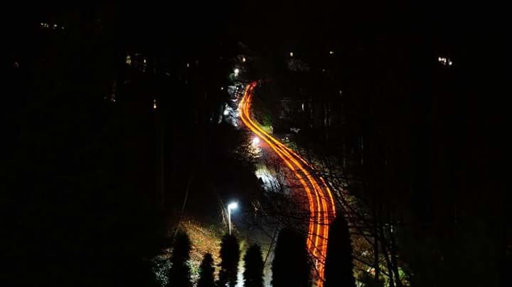 night, illuminated, light trail, long exposure, speed, outdoors, motion, no people, tree, nature