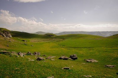 Scenic view of field against sky