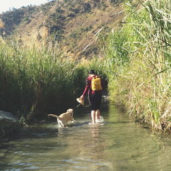 Woman with dog in lake amidst forest