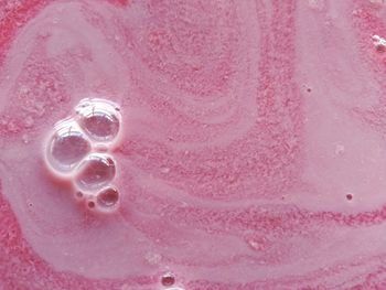 Close-up of water drops on pink background