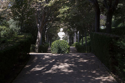 Footpath amidst trees in park