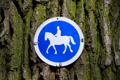 Close-up of sign on tree trunk