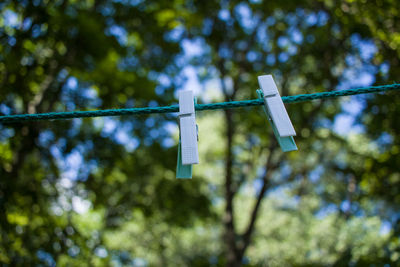 Low angle view of clothes hanging on rope