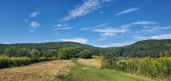 Scenic view of field against sky