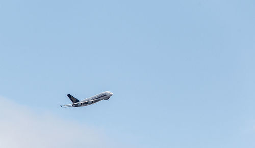 Low angle view of bird flying in sky