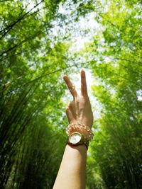 Close-up of hand against plants