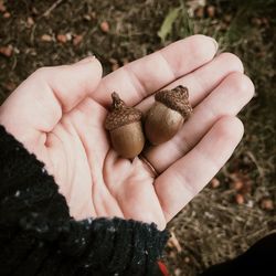 Acorns in hand