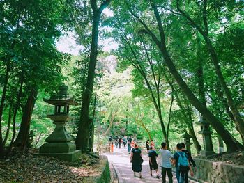 People walking on footpath in park