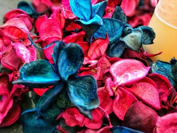 Close-up of red roses