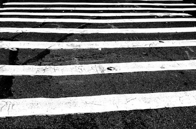High angle view of zebra crossing on road