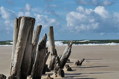 Wooden posts on beach against sky